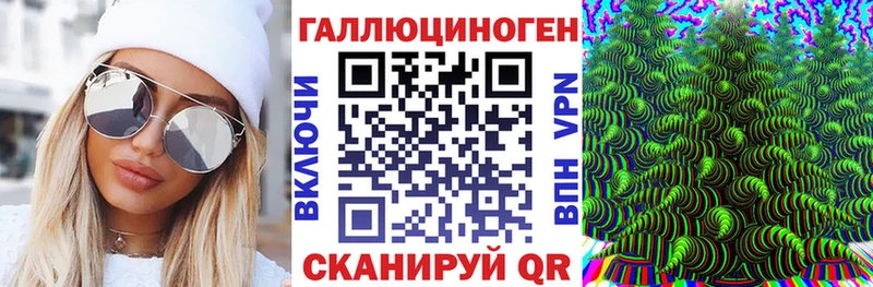Галлюциногенные грибы Cubensis  кракен ССЫЛКА  Торжок 