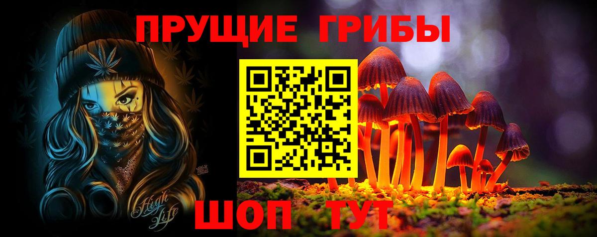 Псилоцибиновые грибы мицелий  Вход с VPN  Торжок 