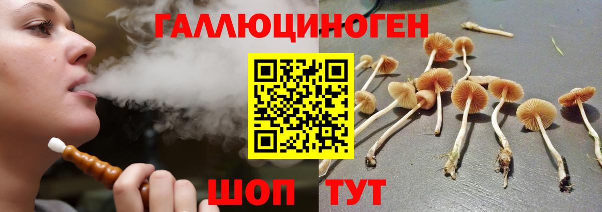 Псилоцибиновые грибы мицелий Торжок